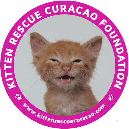 Stichting Kitten Rescue Curacao