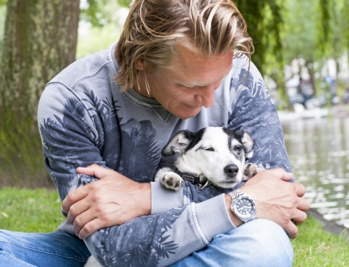EHBO bij dieren 31 >  Euthanasie