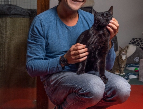 In de Wachtkamer 22 >  Een huisdier erbij adopteren (of aanschaffen)