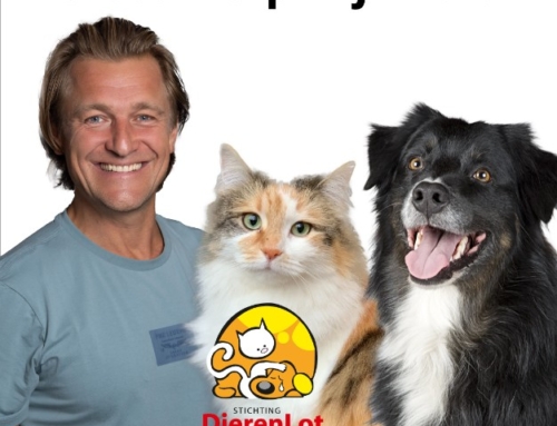 Eerste Hulp Bij Dieren video’s – Stichting DierenLot